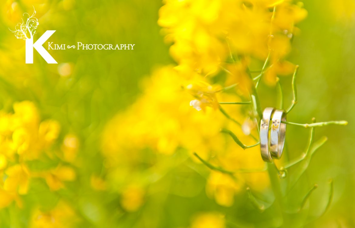 Portland Photographer Kimi Photography: Spring Family and Maternity photography